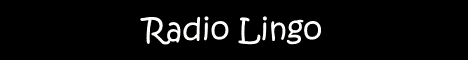 pittsburgh bureau of fire, pittsburgh lingo, fire lingo, fire radio lingo, pittsburgh metro firefighters, pittsburgh fire bureau, pittsburgh area firefighters lingo, pittsburgh fire radio, pittsburgh fire radio terms, fire radio explanation