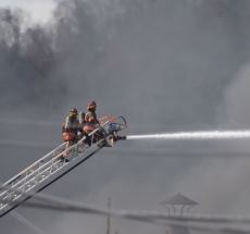 photo by Bob Donaldson