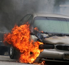 photo by Todd Shipley