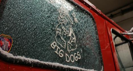 photo by Tony Zoroya