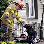 photo by Andy Starnes