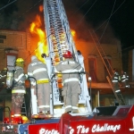 photo by David Novak